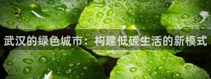 e尊国际官网·网址：武汉的绿色城市：构建低碳生活的新模式