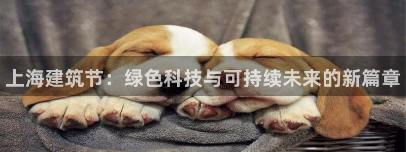尊亿游戏国际官网：上海建筑节：绿色科技与可持续未来的新篇章