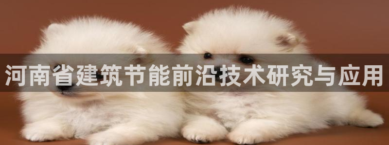 e尊国际平台