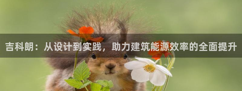 E尊国际网站