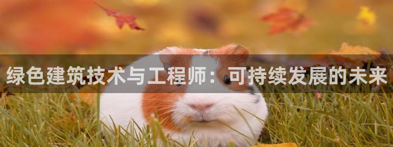 谁知道e尊国际的网址