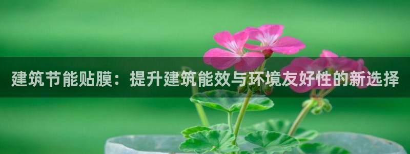 e尊电竞：建筑节能贴膜：提升建筑能效与环境友好性的新选择