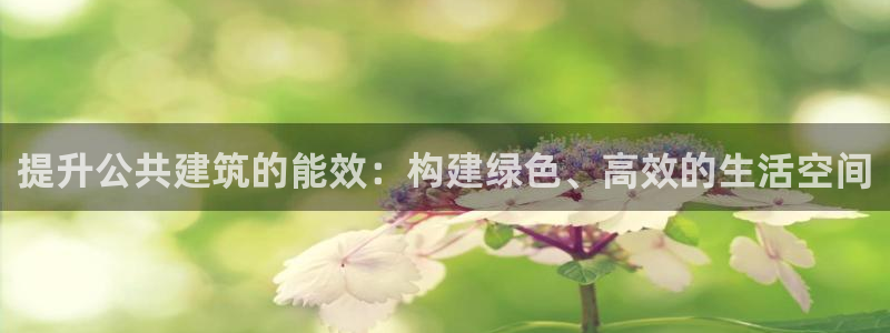 E尊国际：提升公共建筑的能效：构建绿色、高效的生活空间