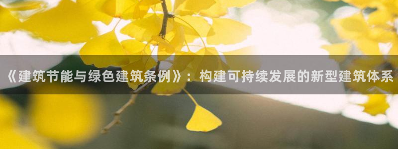 E尊国际网站