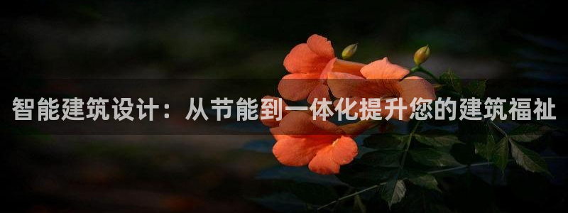 e尊国际-e尊国际官网