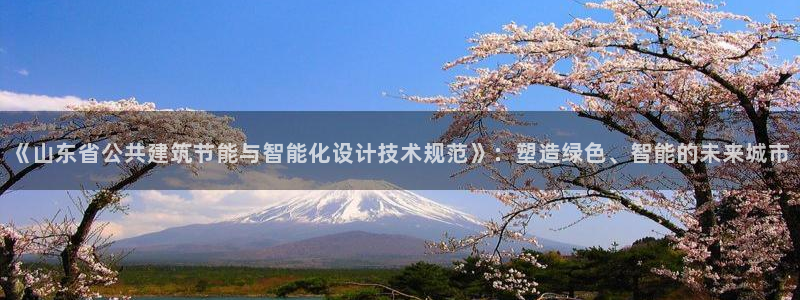 E尊国际