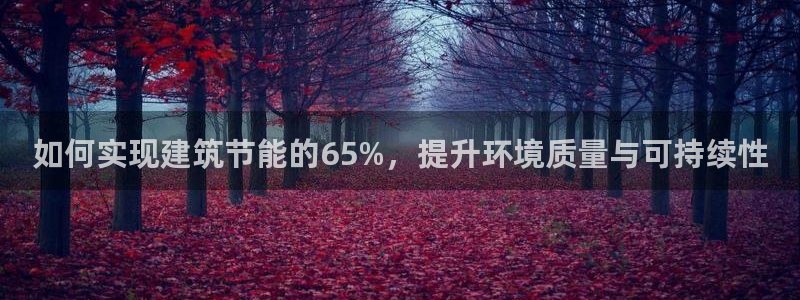 E尊国际网站：如何实现建筑节能的65%，提升环境质量与可持续性