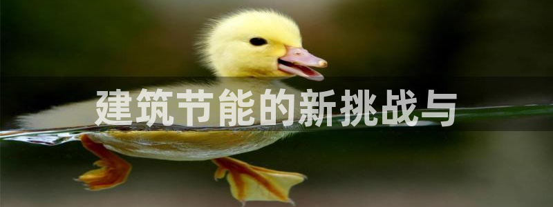 e尊电竞：建筑节能的新挑战与