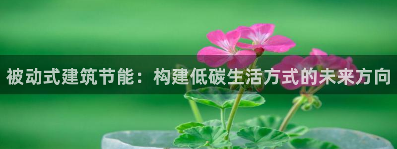 e尊国际的手机登录网站：被动式建筑节能：构建低碳生活方式的未来方向