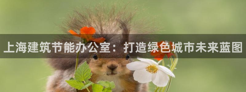 e尊国际可靠吗：上海建筑节能办公室：打造绿色城市未来蓝图