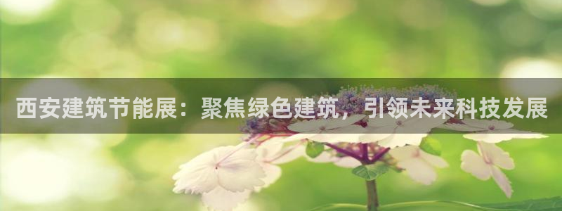 e尊平台：西安建筑节能展：聚焦绿色建筑，引领未来科技发展