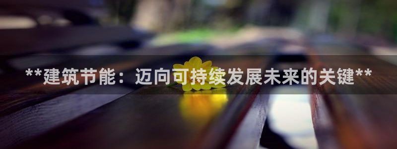 E尊国际：**建筑节能：迈向可持续发展未来的关键**