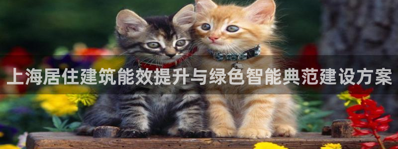 e尊国际官网app：上海居住建筑能效提升与绿色智能典范建设方案