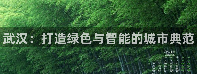 e尊体育：武汉：打造绿色与智能的城市典范