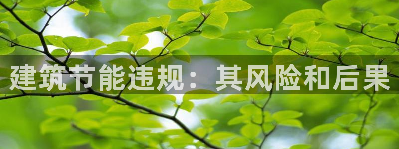 e尊国际网址：建筑节能违规：其风险和后果