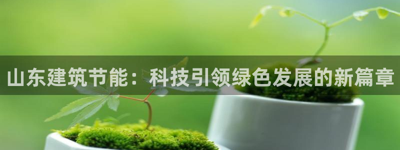 e尊国际网址：山东建筑节能：科技引领绿色发展的新篇章