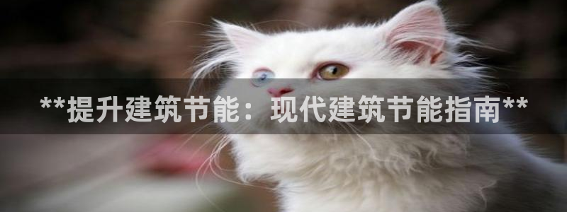 E尊国际网站：**提升建筑节能：现代建筑节能指南**