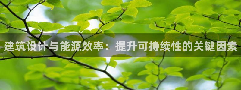 e尊国际的手机登录网站：建筑设计与能源效率：提升可持续性的关键因素