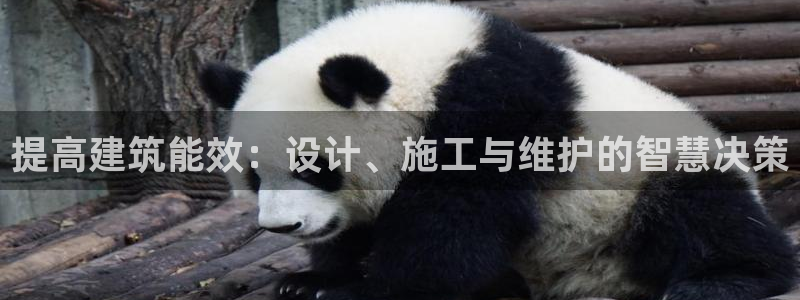 e尊国际官网：提高建筑能效：设计、施工与维护的智慧决策