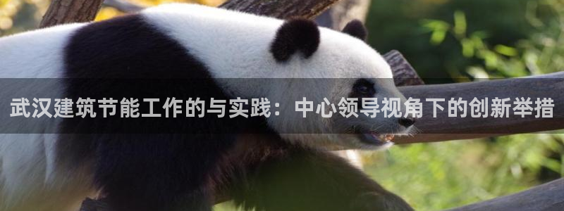 e尊国际的手机登录网站：武汉建筑节能工作的与实践：中心领导视角下的创新举措