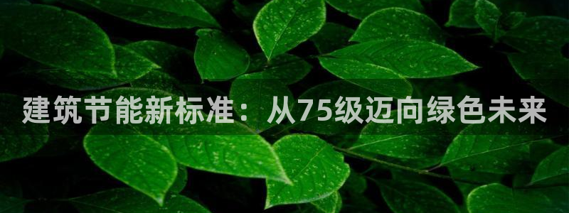 e尊国际是干什么的：建筑节能新标准：从75级迈向绿色未来