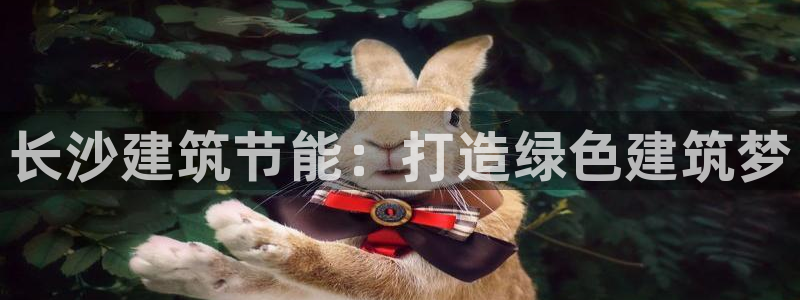 e尊国际官网app：长沙建筑节能：打造绿色建筑梦