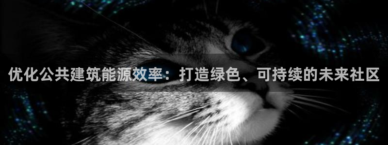 e尊国际是干什么的：优化公共建筑能源效率：打造绿色、可持续的未来社区