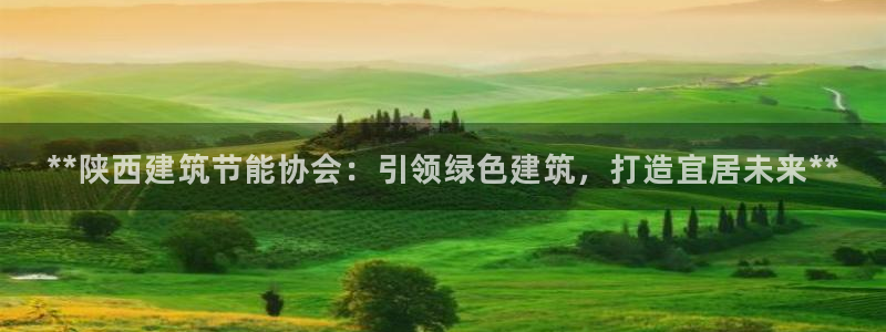 e尊国际客服：**陕西建筑节能协会：引领绿色建筑，打造宜居未来**