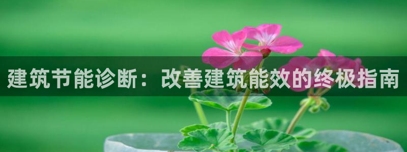 e尊国际是干什么的