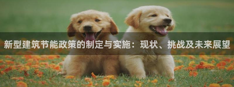 e尊国际7779：新型建筑节能政策的制定与实施：现状、挑战及未来展望