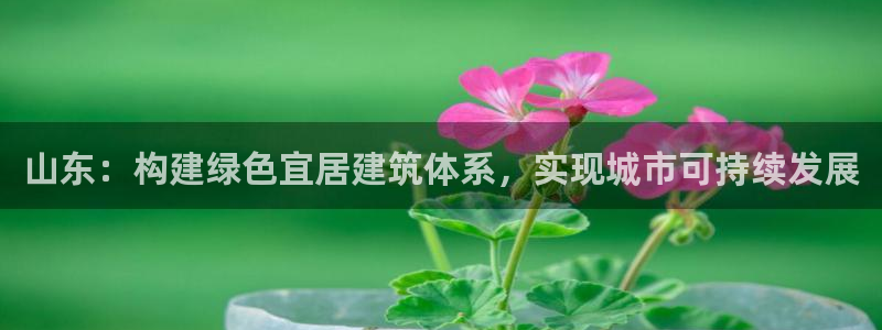 e尊国际是干什么的