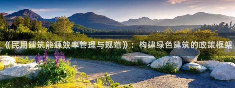 e尊国际是干什么的：《民用建筑能源效率管理与规范》：构建绿色建筑的政策框架