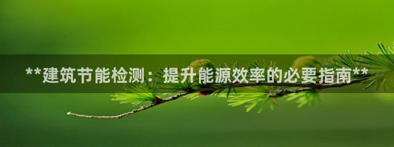 谁知道e尊国际的网址：**建筑节能检测：提升能源效率的必要指南**