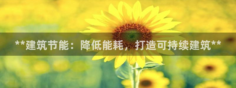 e尊国际官网app：**建筑节能：降低能耗，打造可持续建筑**