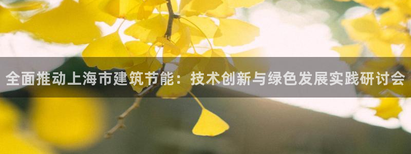 e尊国际网址：全面推动上海市建筑节能：技术创新与绿色发展实践研讨会