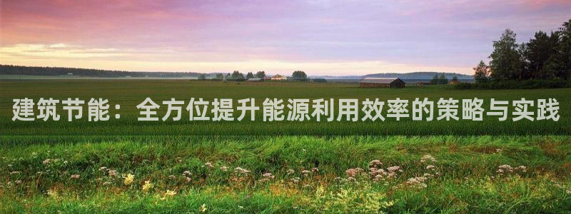 E尊国际：建筑节能：全方位提升能源利用效率的策略与实践
