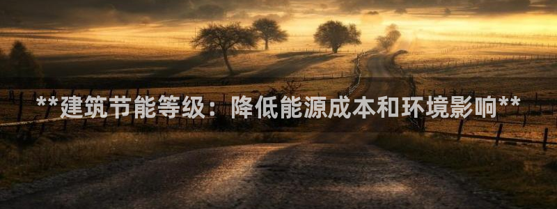 尊亿游戏国际官网：**建筑节能等级：降低能源成本和环境影响**