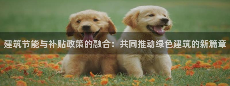 谁知道e尊国际的网址：建筑节能与补贴政策的融合：共同推动绿色建筑的新篇章