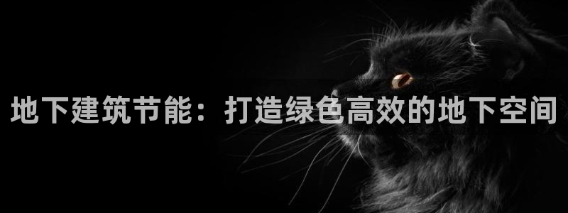 e尊国际-可可计划