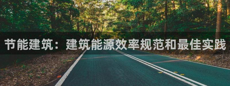 谁知道e尊国际的网址：节能建筑：建筑能源效率规范和最佳实践