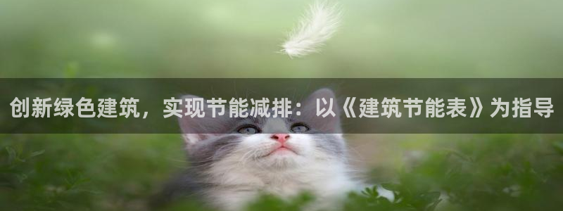 e尊国际是干什么的：创新绿色建筑，实现节能减排：以《建筑节能表》为指导