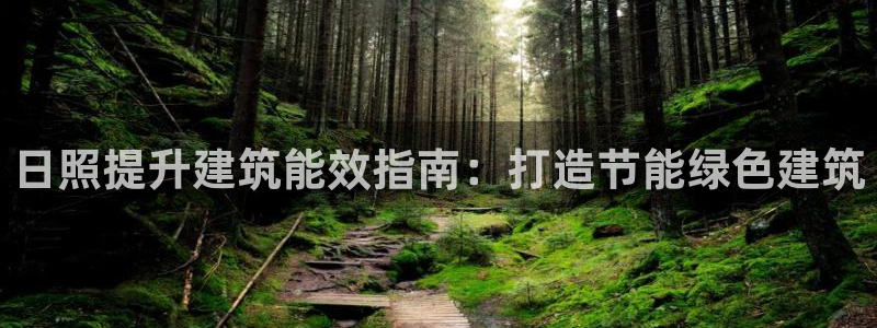 e尊国际是个黑网：日照提升建筑能效指南：打造节能绿色建筑