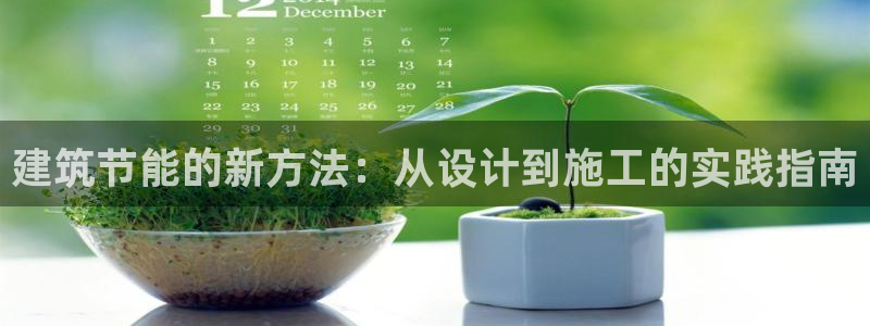 e尊国际是个黑网：建筑节能的新方法：从设计到施工的实践指南