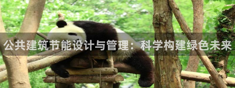 e尊电竞：公共建筑节能设计与管理：科学构建绿色未来