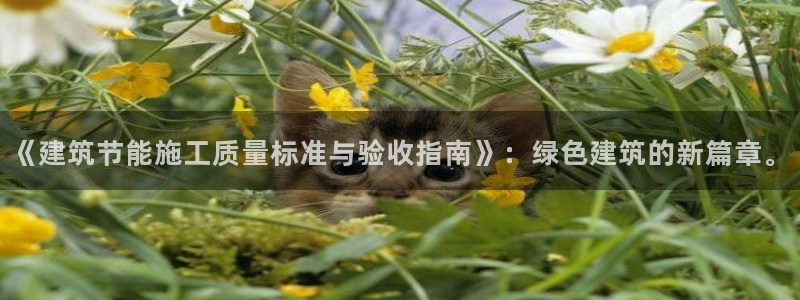 e尊国际客户端：《建筑节能施工质量标准与验收指南》：绿色建筑的新篇章。