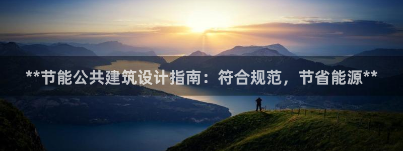 e尊国际官方网站：**节能公共建筑设计指南：符合规范，节省能源**
