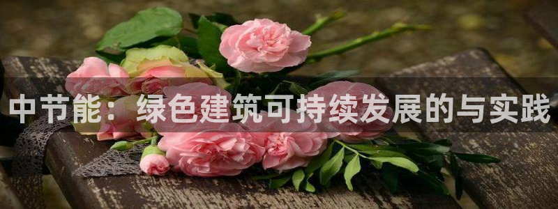 e尊国际娱乐官网下载：中节能：绿色建筑可持续发展的与实践