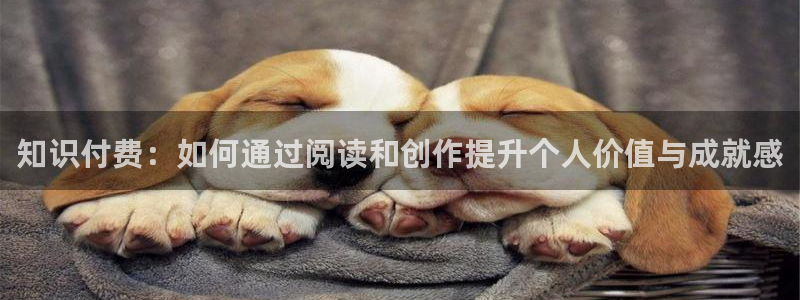七猫免费小说网页版