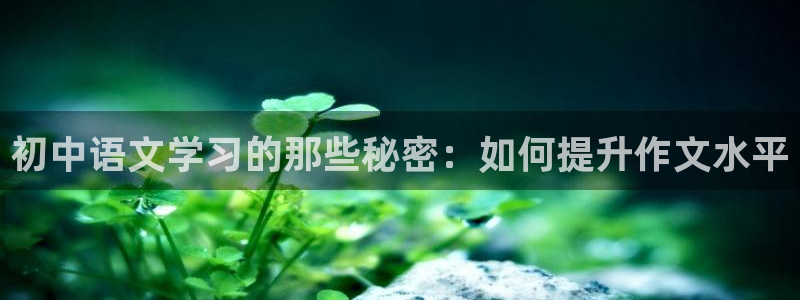 七猫小说app