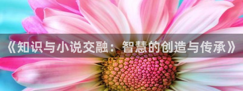 七猫小说